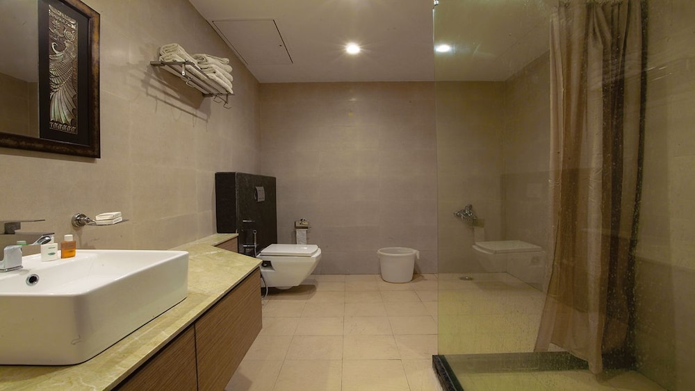 Hotel Santosh Dham 16/16