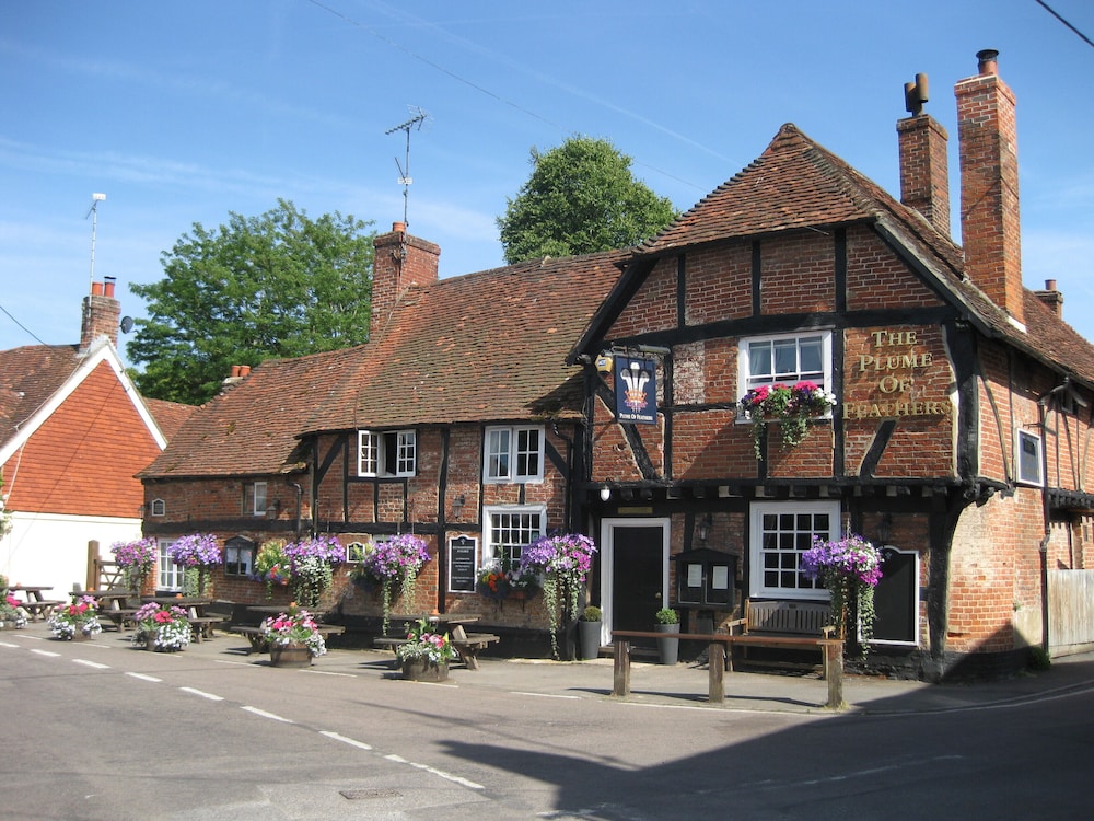 The Plume of Feathers - Inn 1/33