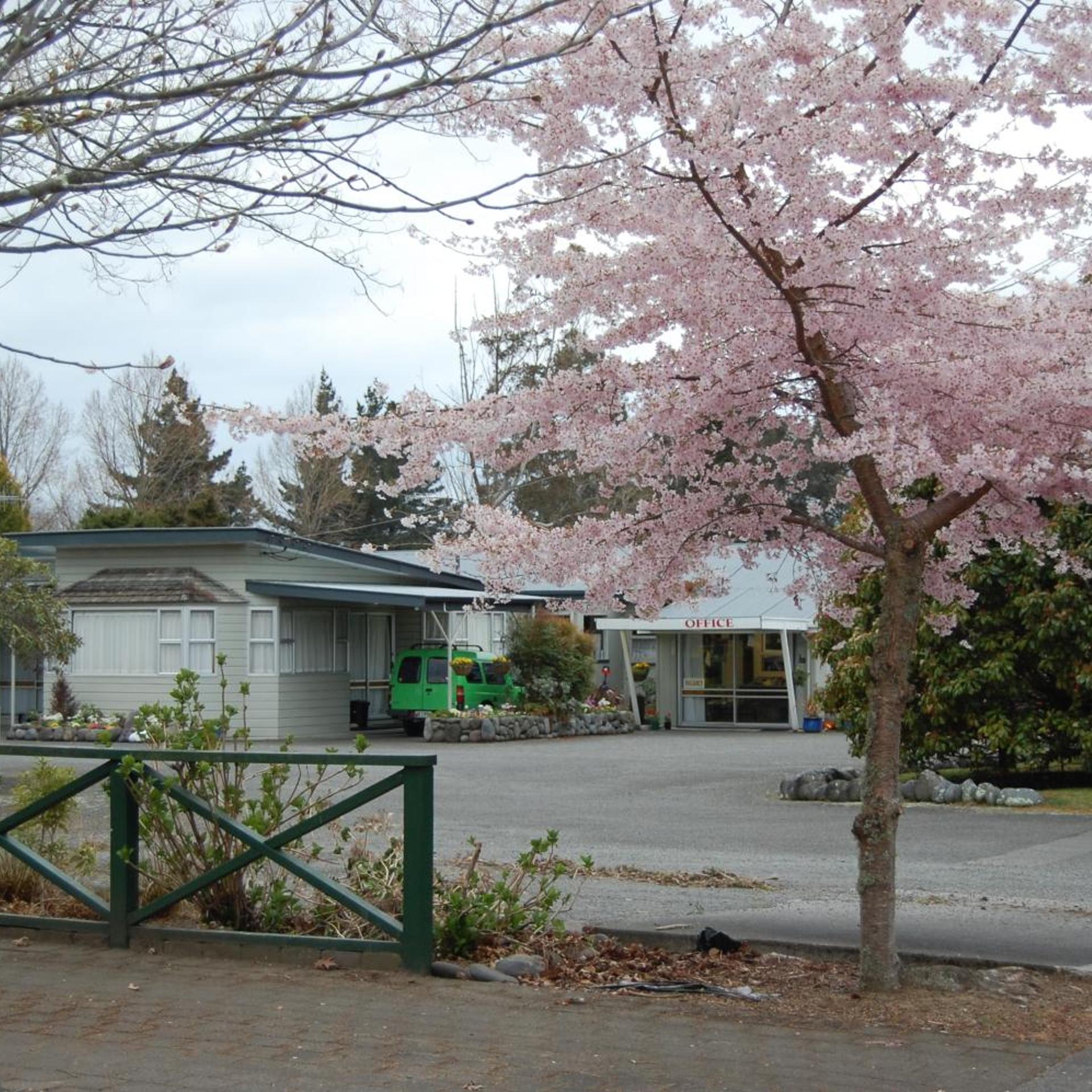 Tongariro River Motel 4/55