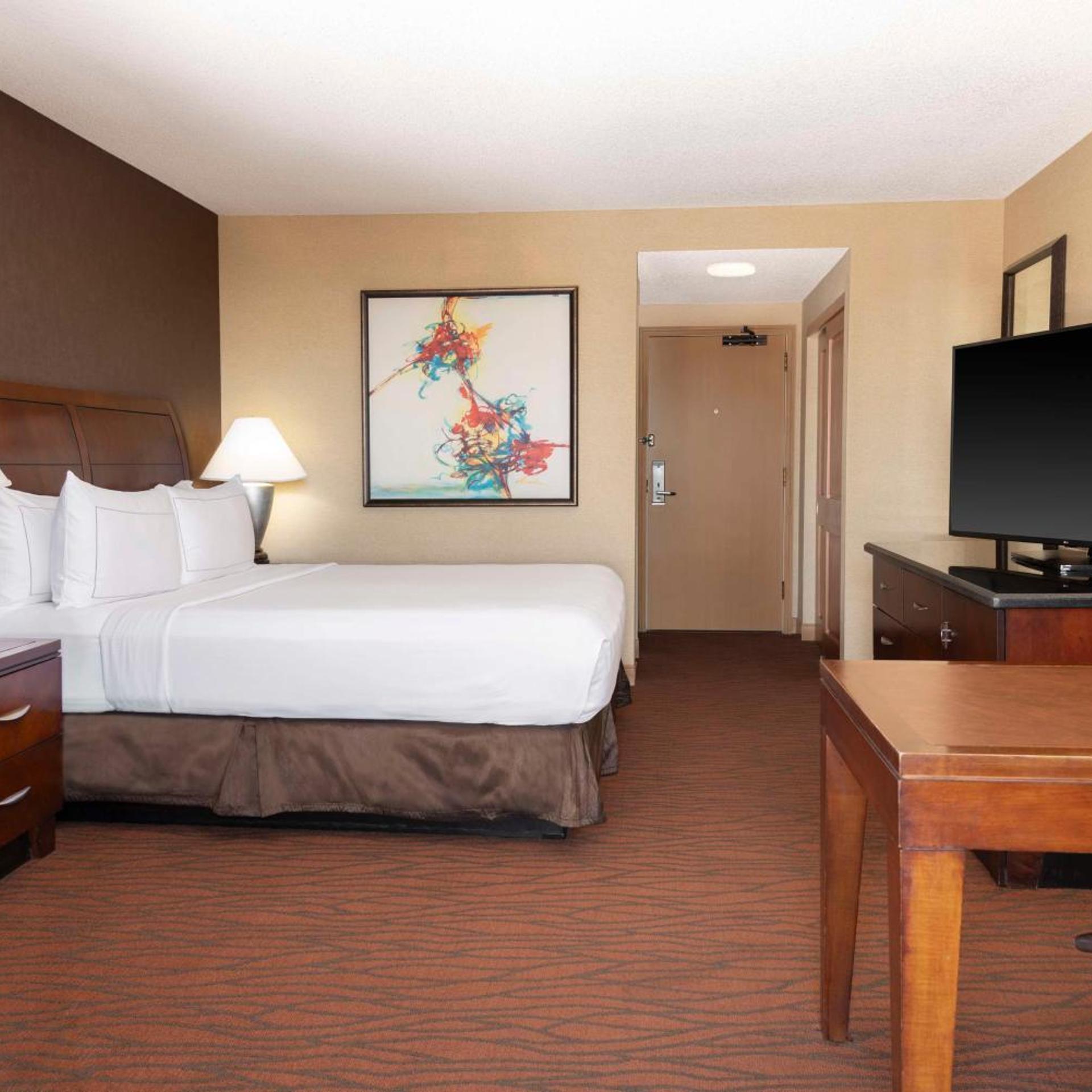 Room, King Bed, Allergy Friendly