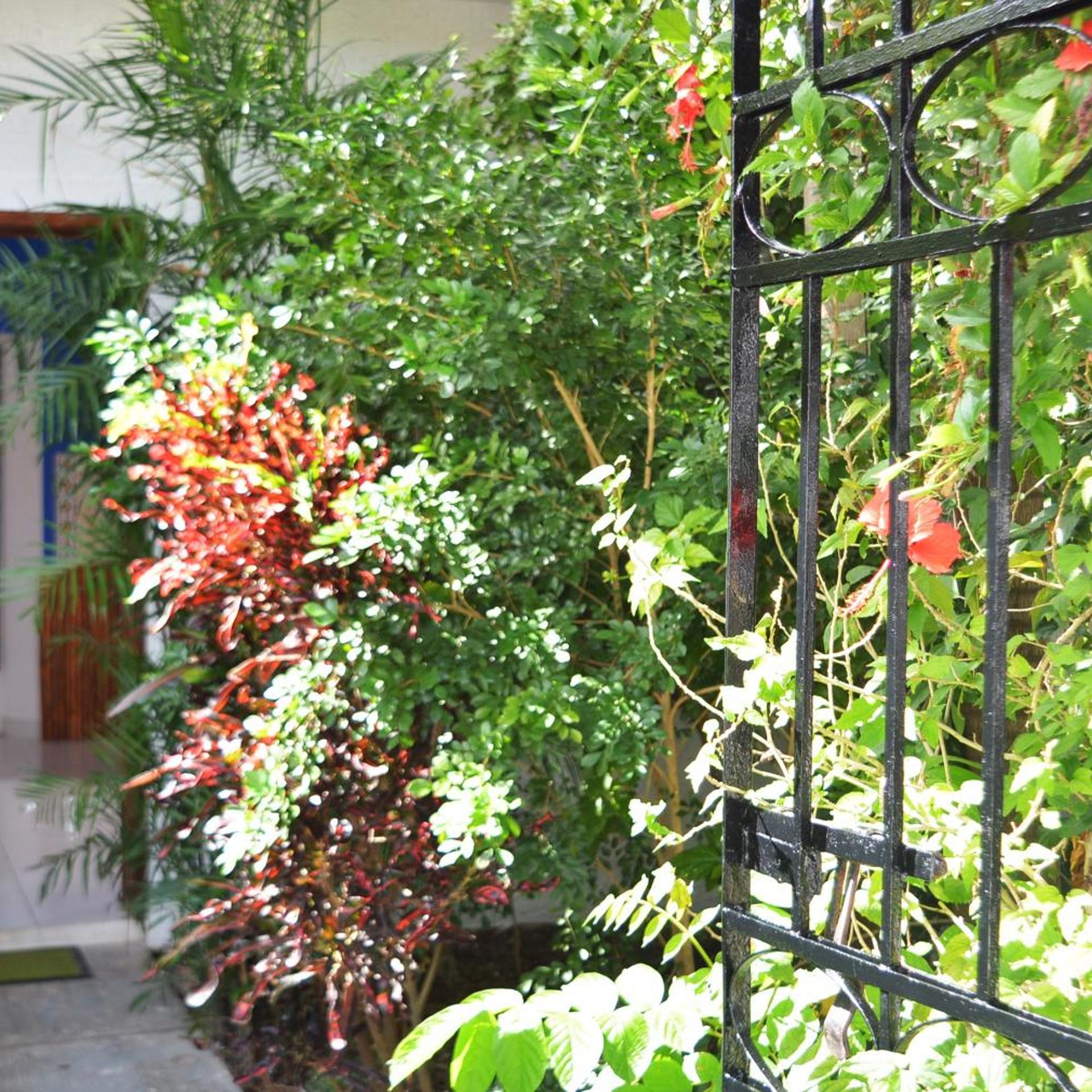 KINTA KAN COZUMEL 48/59