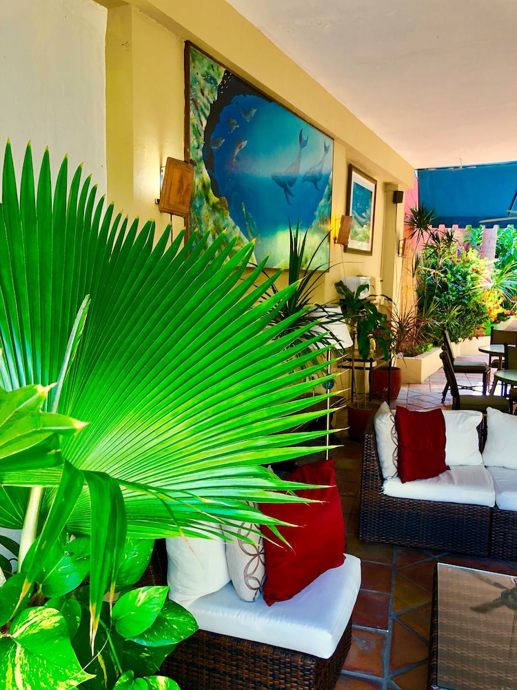 Casa Del Caribe Bed Breakfast 33/46