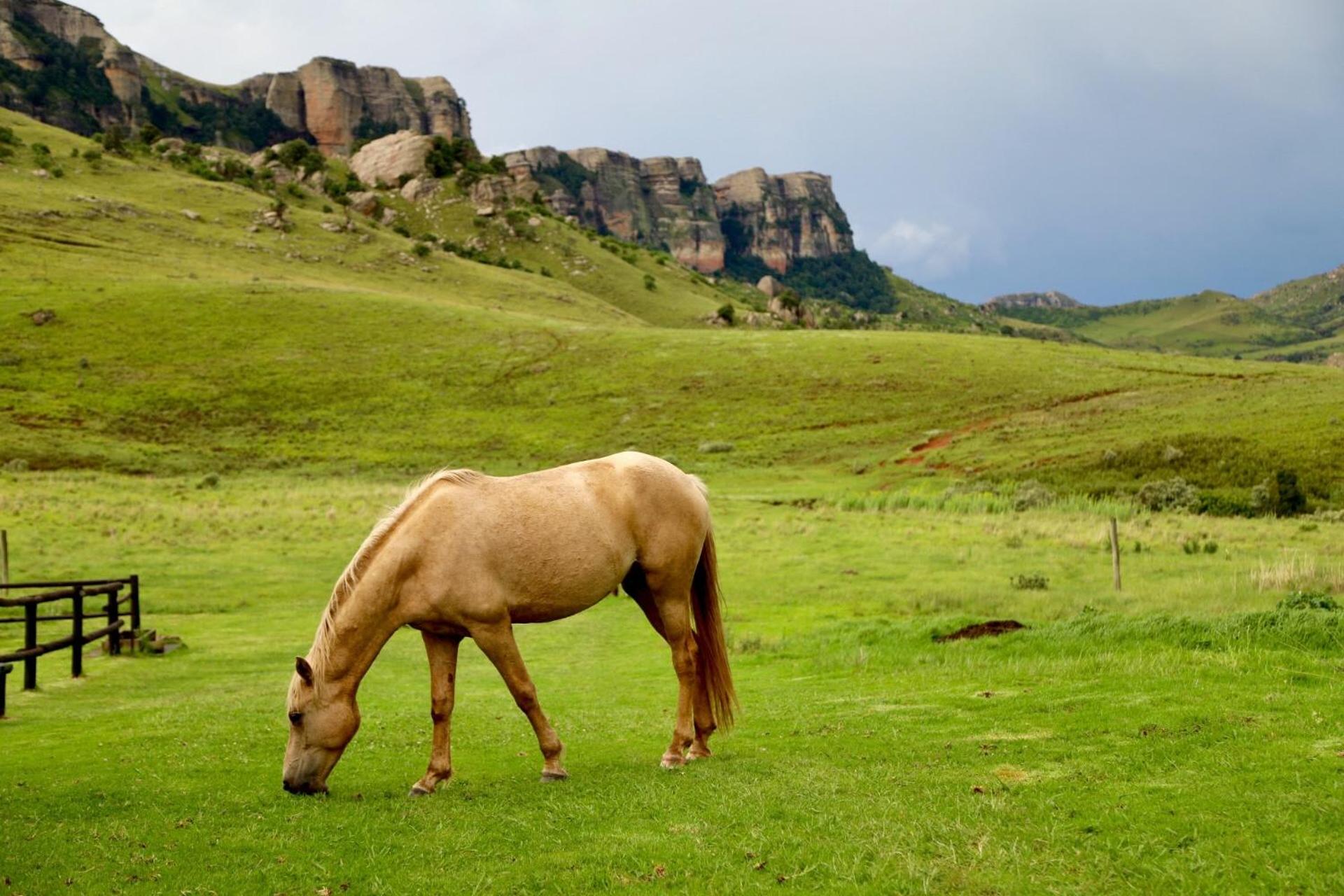Greenfire Drakensberg Lodge 47/48