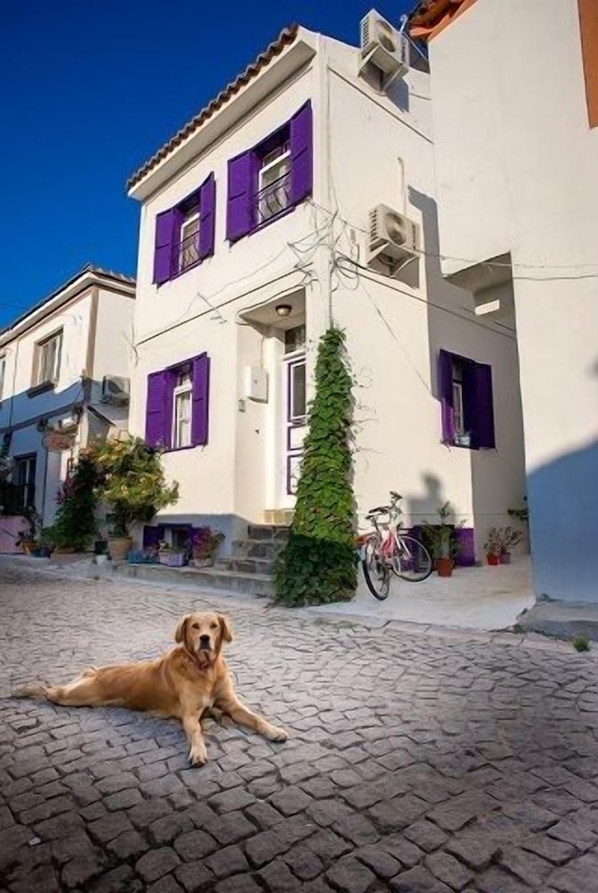 Amaranda Ada Evi - Adults Only 21/24