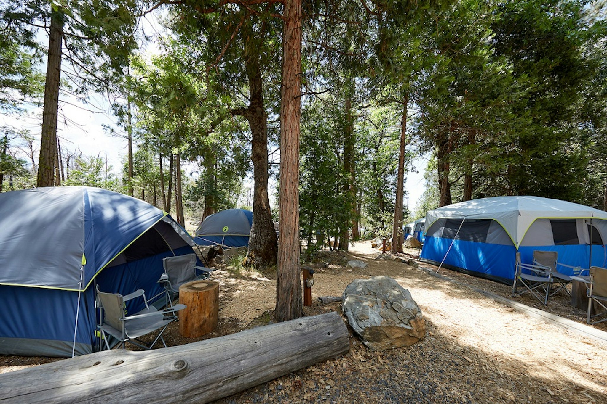 Evergreen Lodge At Yosemite 41/46