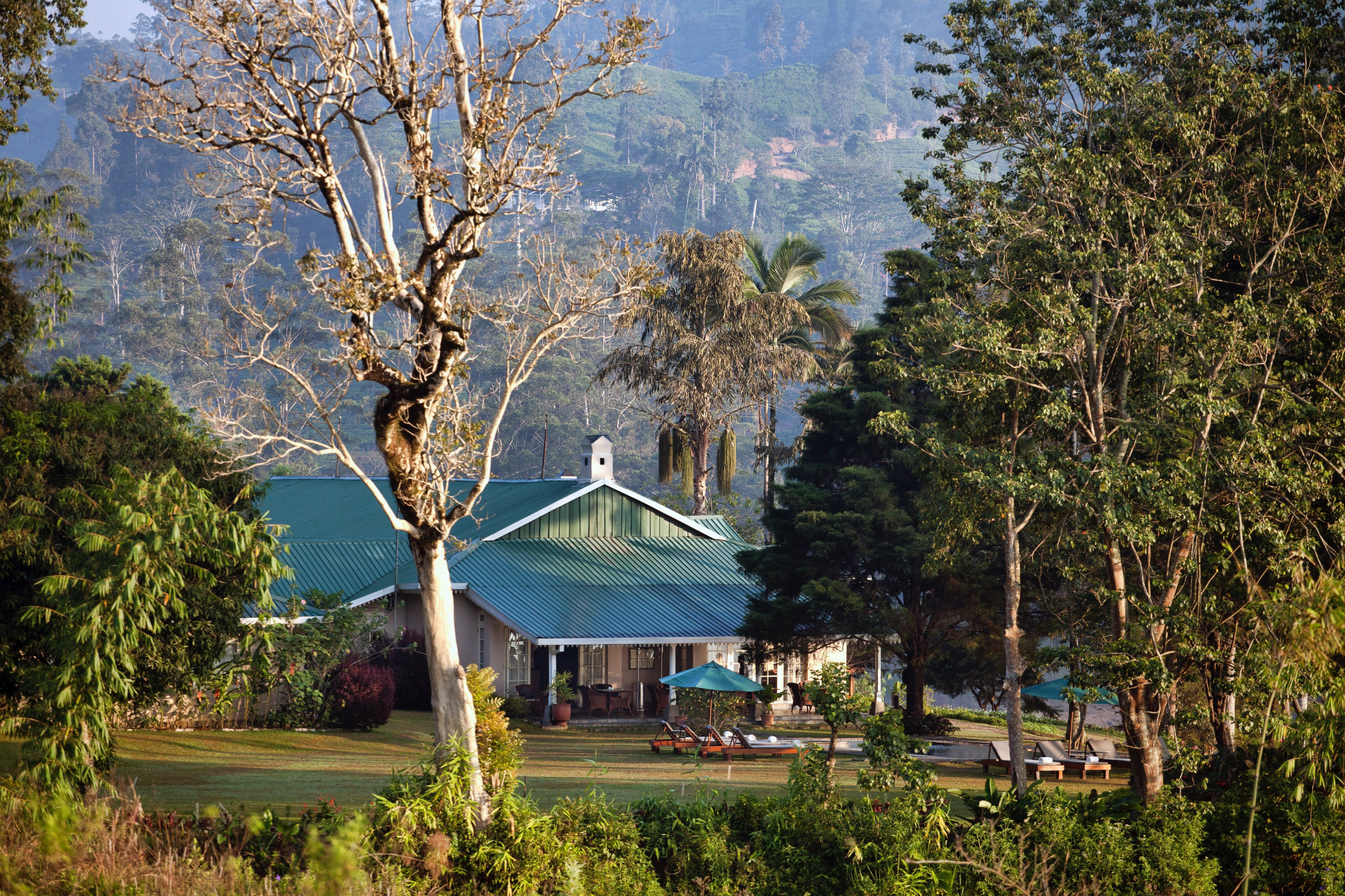 Tea Trails 32/43