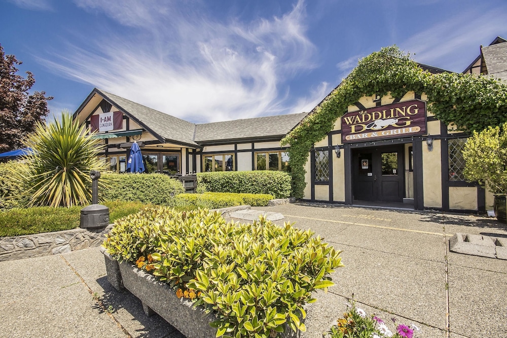 Quality Inn Waddling Dog Saanichton 6/37
