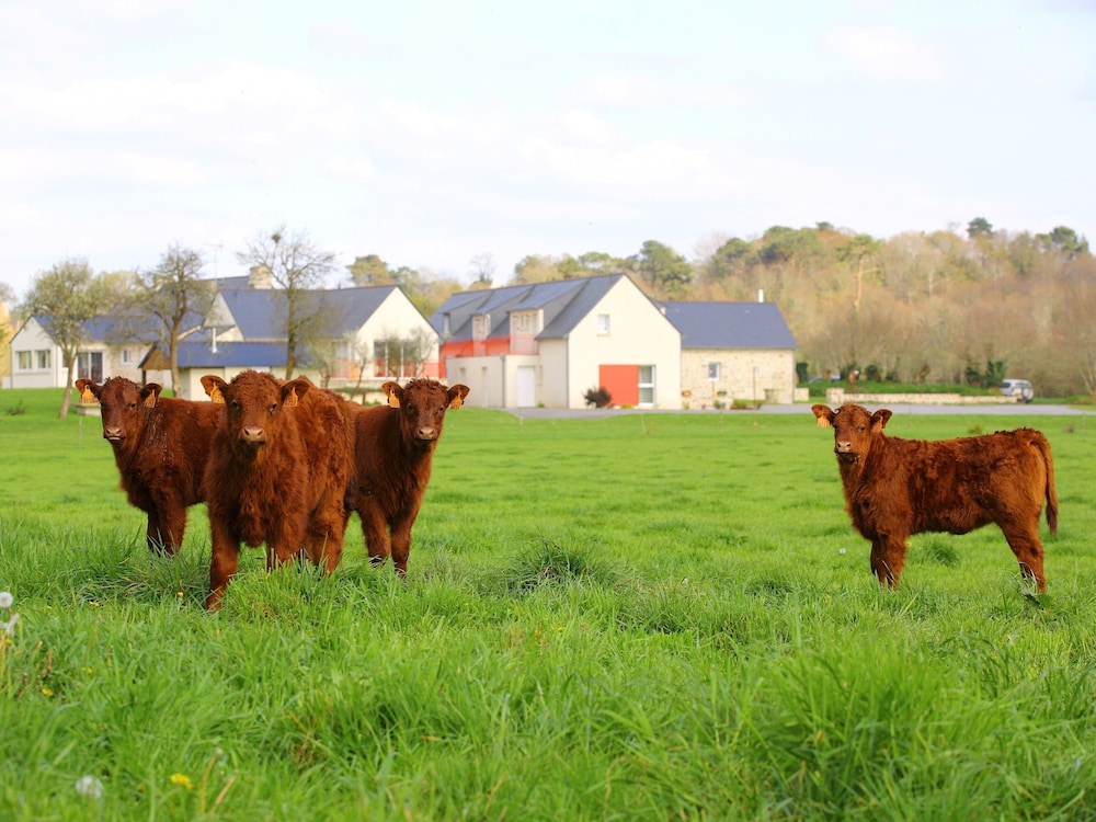 La Ferme De Vur Ven 24/35