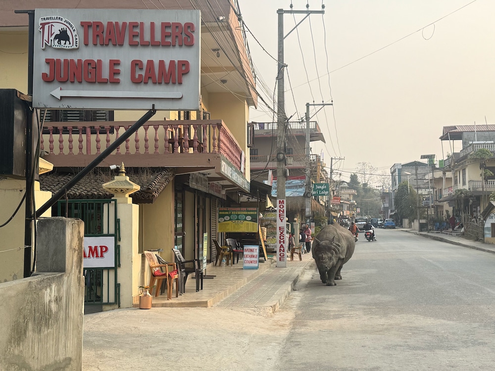 Traveller Jungle Camp 22/50