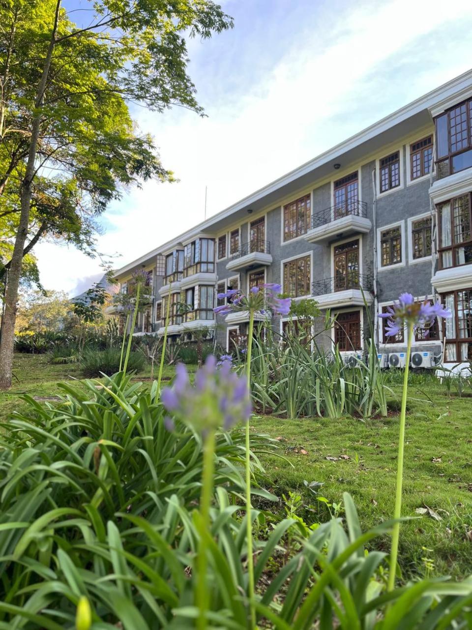 Aroso Paco Hotel 7/50