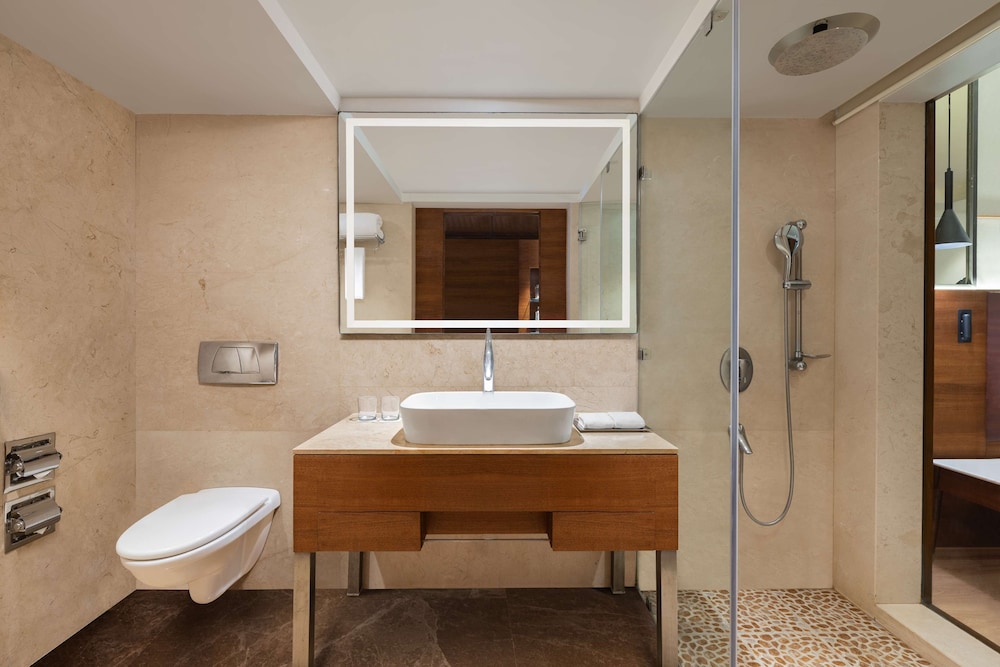 Radisson Blu Hotel Ranchi 67/68
