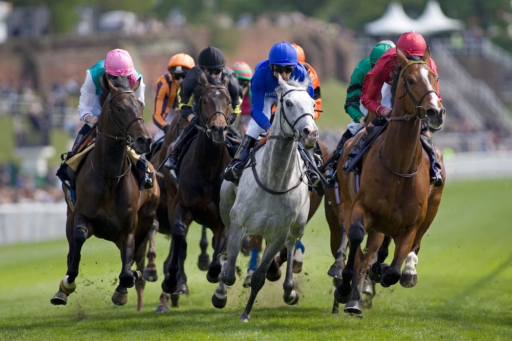 Holiday Inn Express Chester Racecourse 30/34