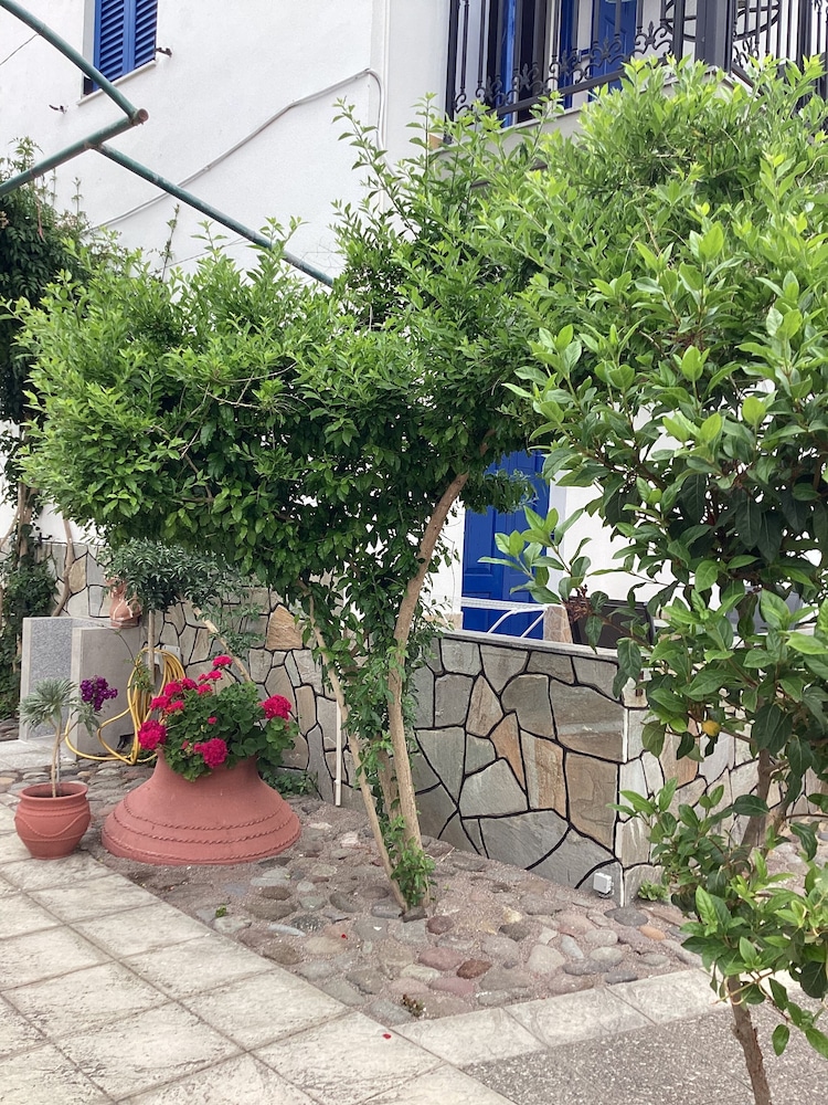 ANAXOS GARDEN 49/64
