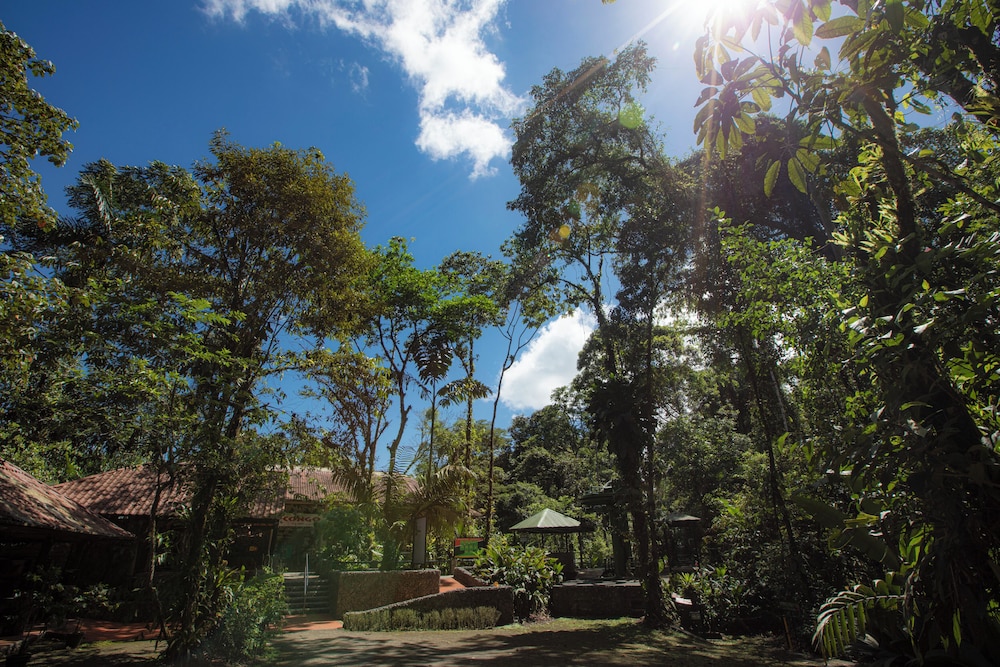 Tapirus Lodge 29/38