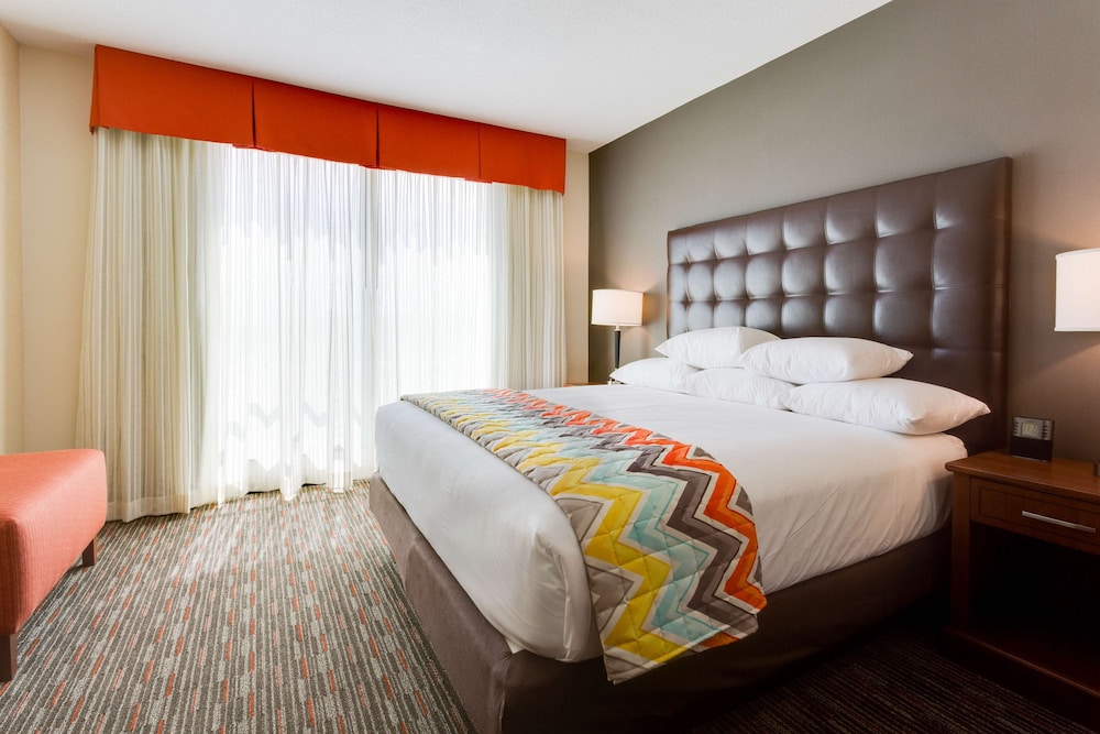 ROOM, KING BED, SOFA