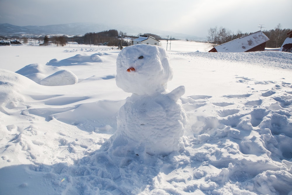 Snow Dog 54/63