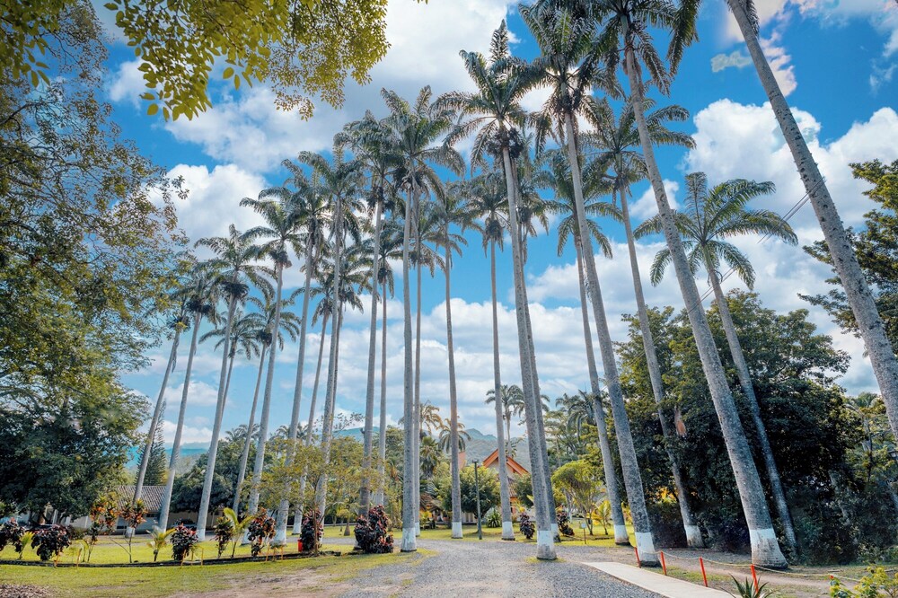 hotel las palmeras 38/50