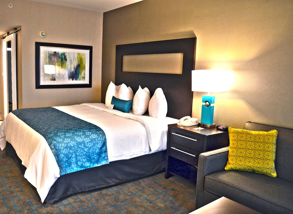 Holiday Inn & Suites Syracuse Airport - Liverpool 17/76