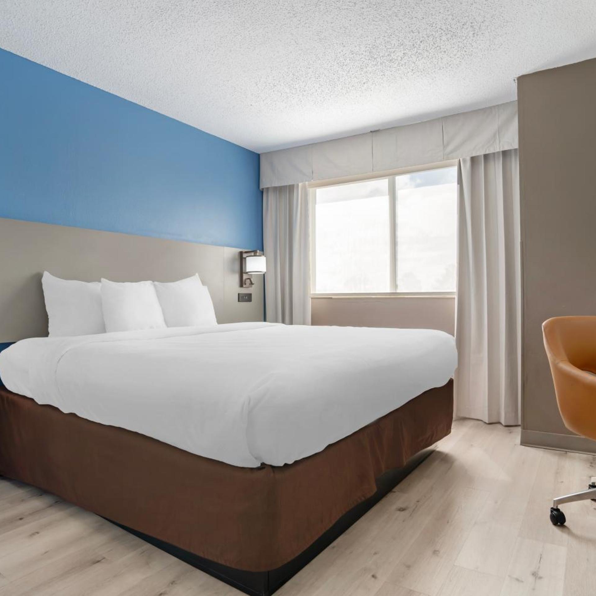 Room, King Bed, Sofa