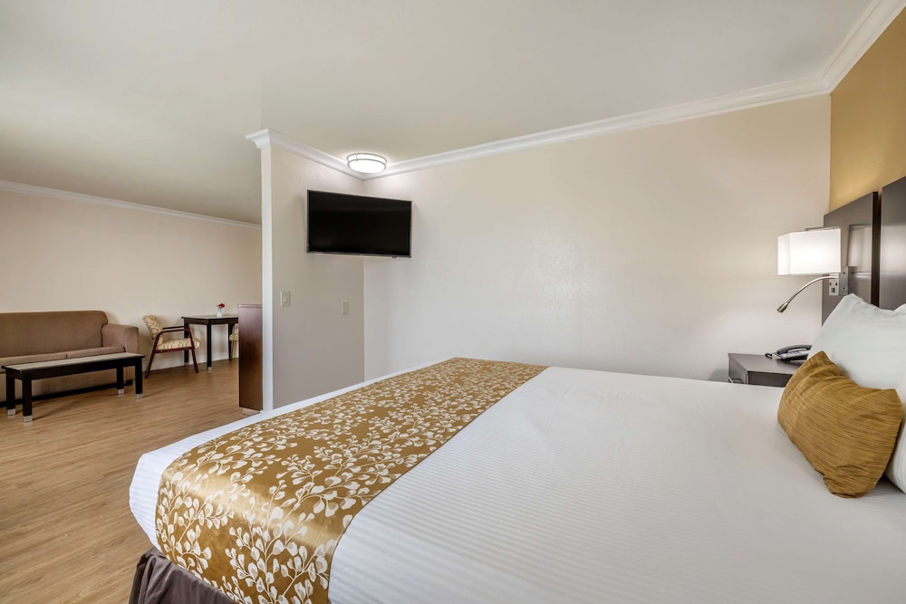 Best Western Plus South Bay Hotel 13/36