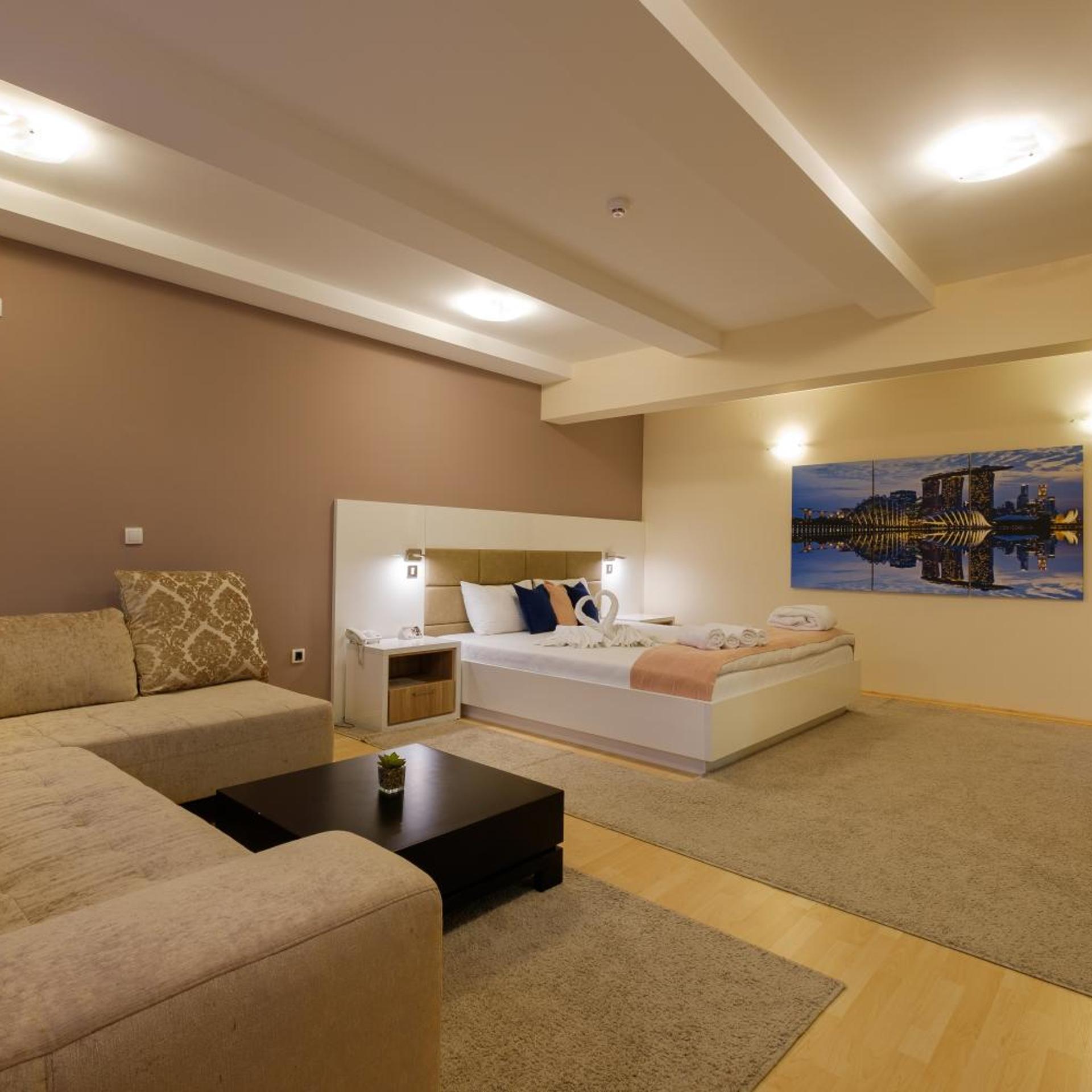 Airport Garni Hotel Belgrade 41/58