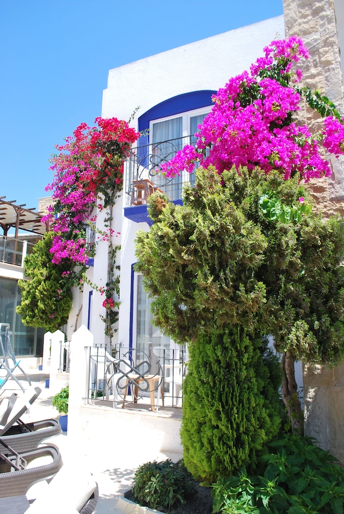 Serpina Hotel - Adults Only 61/68