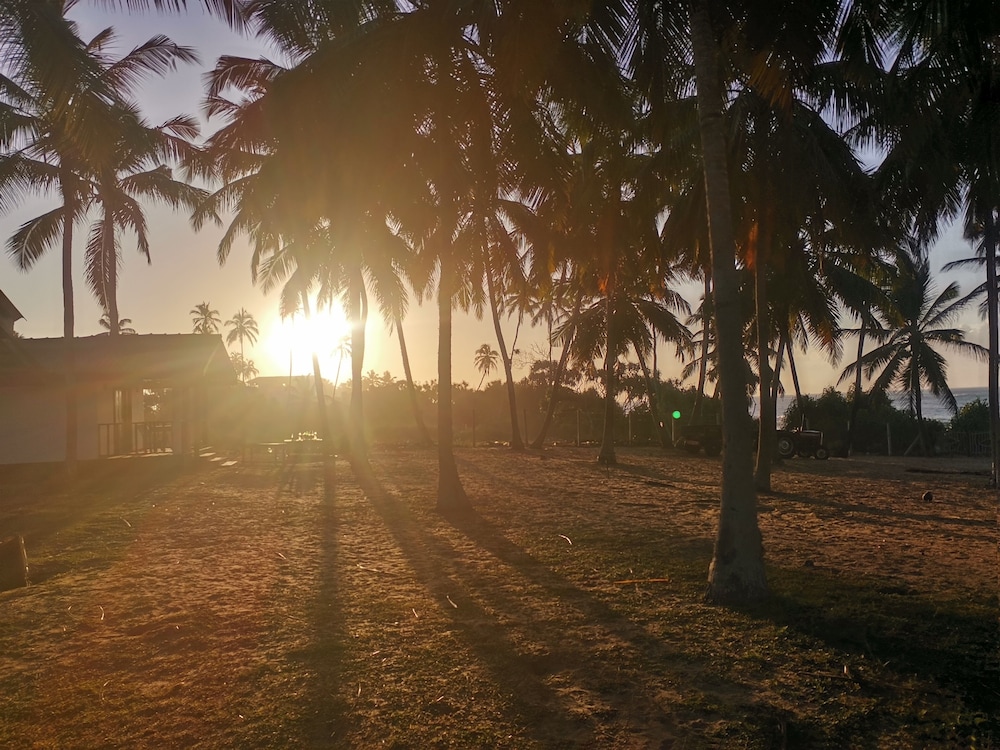 Darwins Beach Resort 46/50