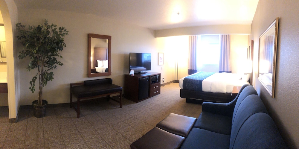 Comfort Inn & Suites Ukiah Mendocino County 22/34
