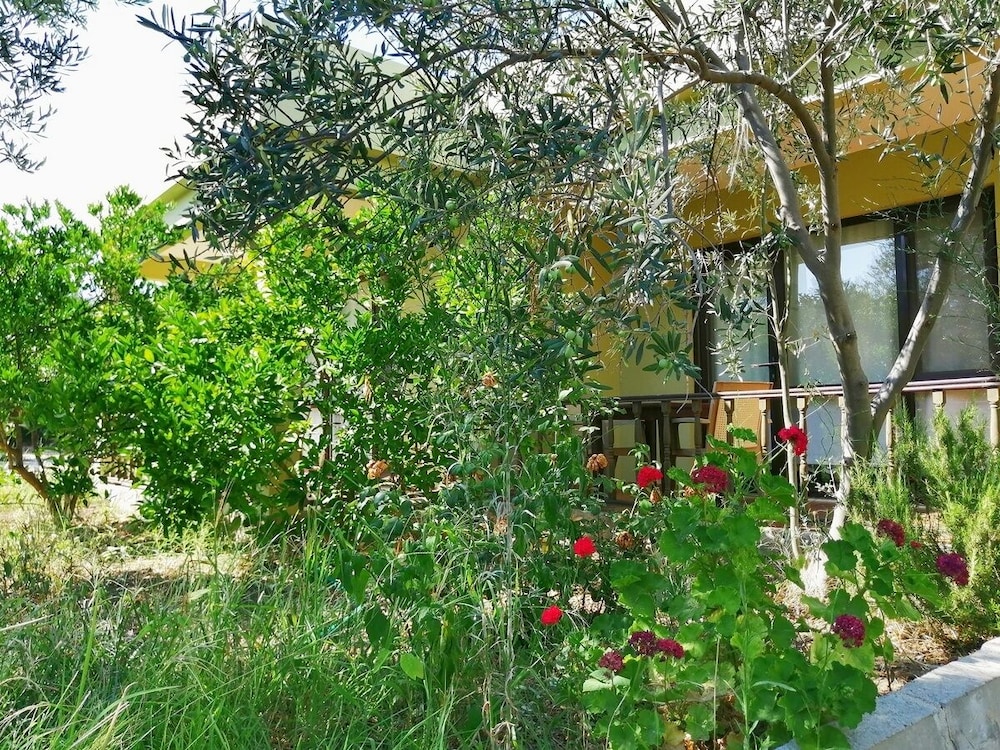 Assos Büyük Yildizsaray Otel 41/50