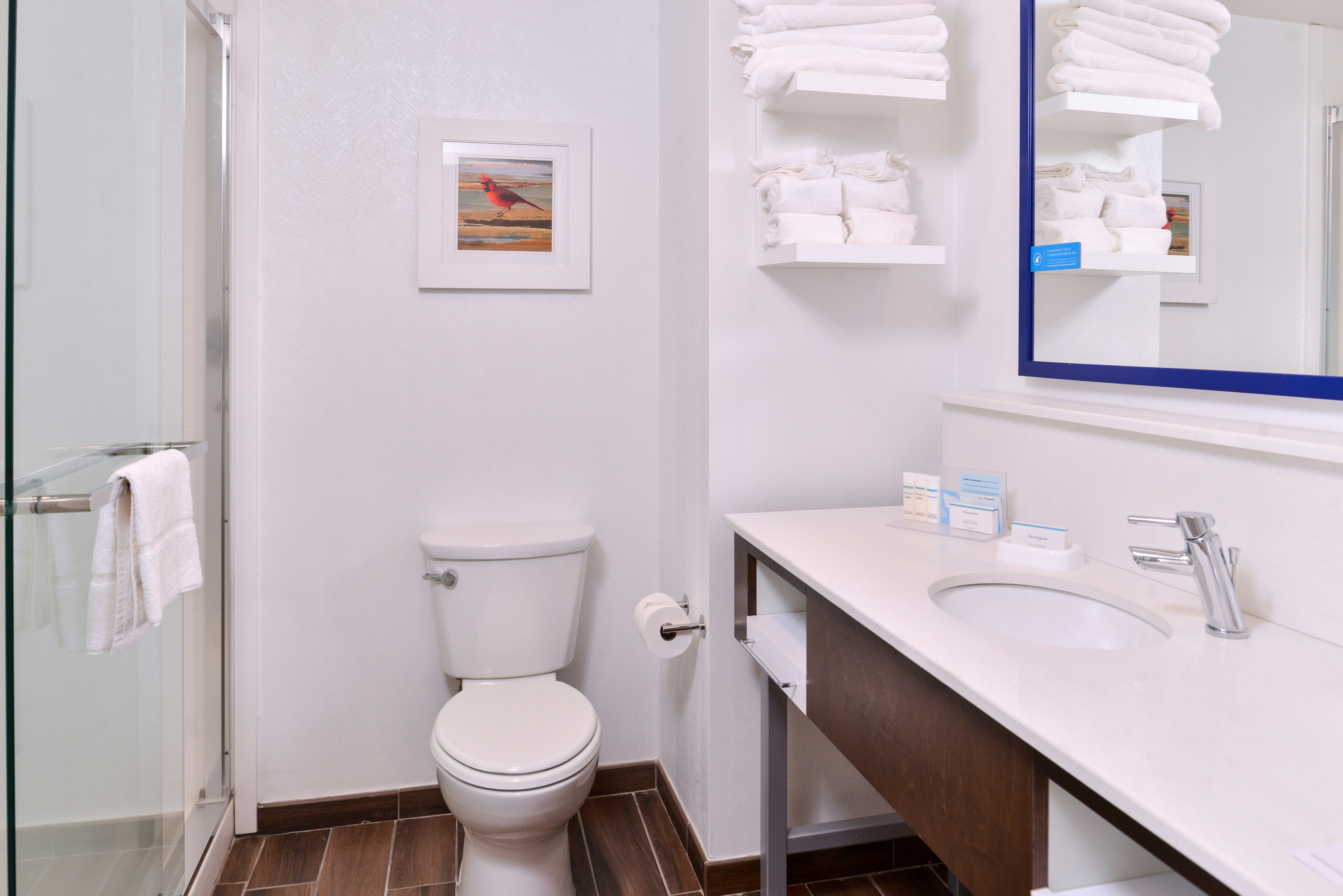 Hampton Inn Benson Nc 65/66