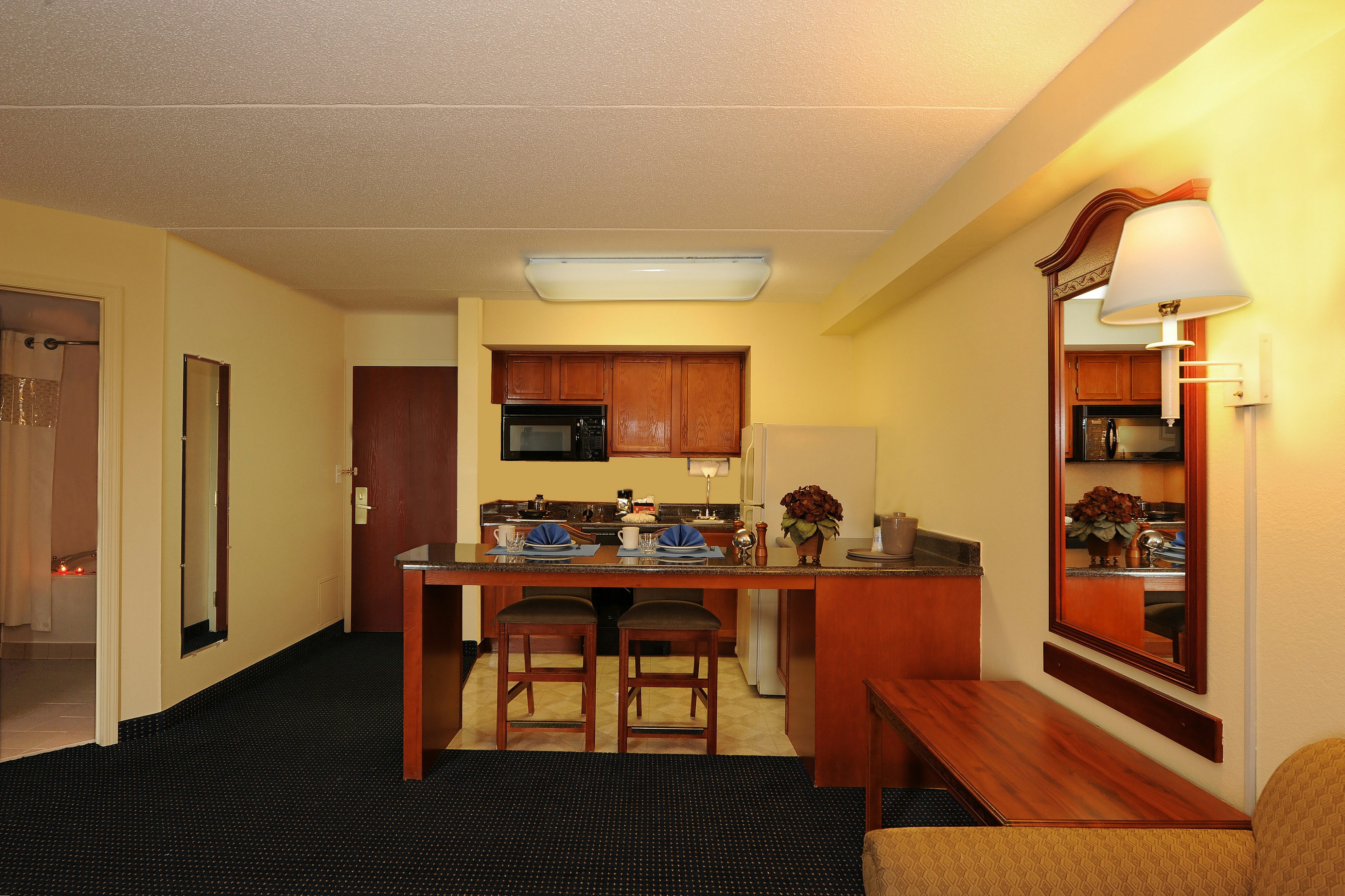Hampton Inn And Suites Atlanta Galleria 49/67