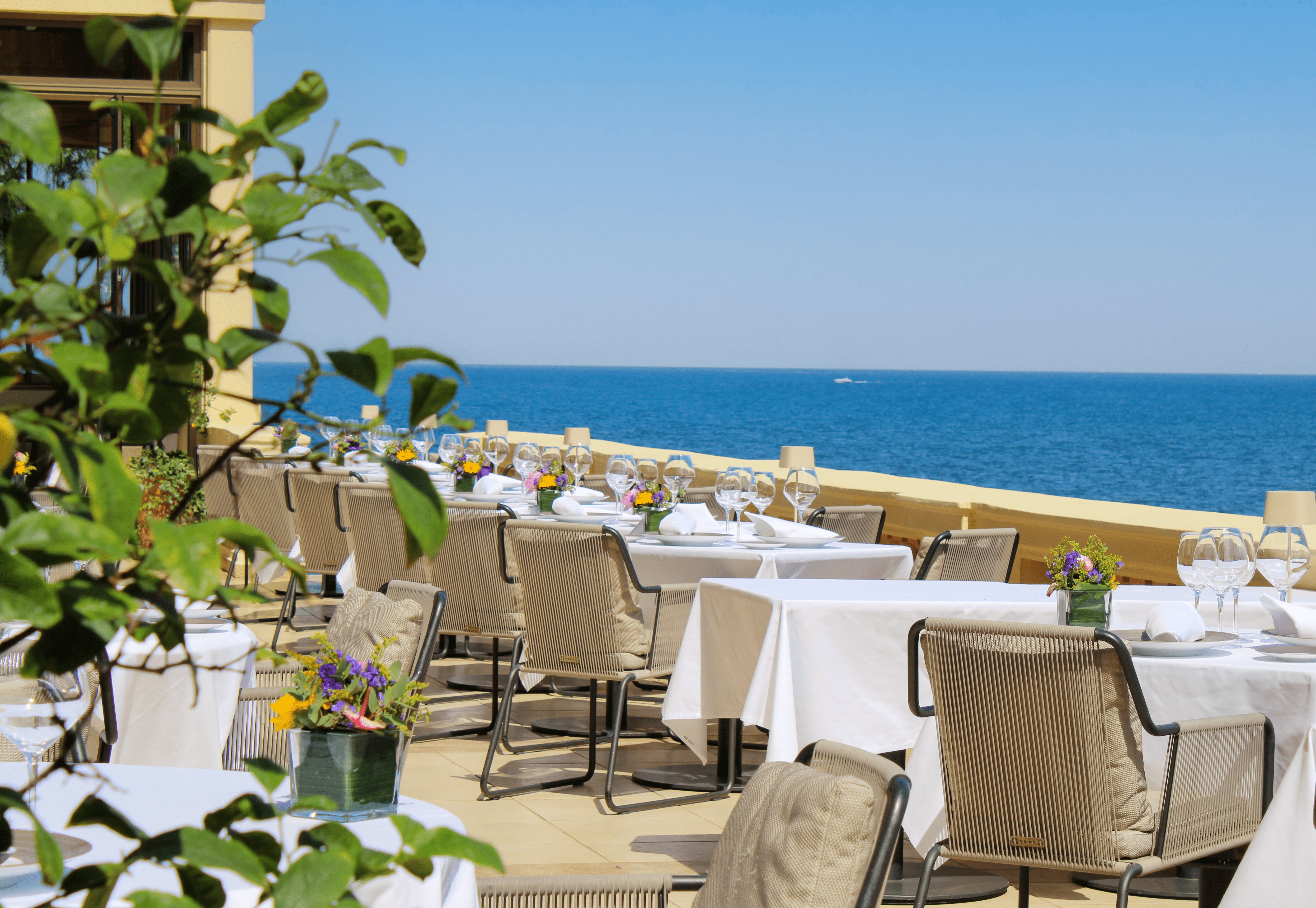 Royal Riviera 67/83