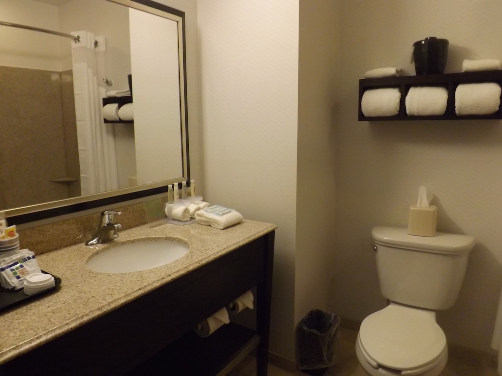 Holiday Inn Express Pittsburgh E - Waterfront Dr 13/42