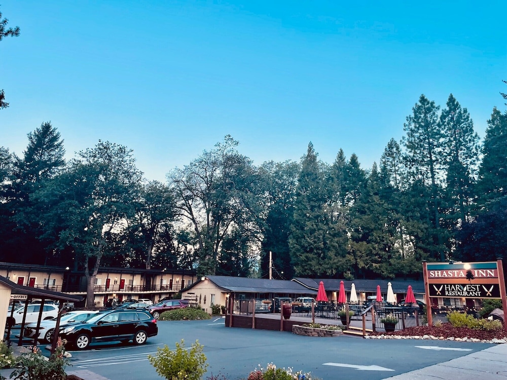 Shasta Inn 44/46