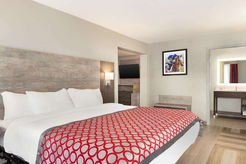 Studio, King Bed