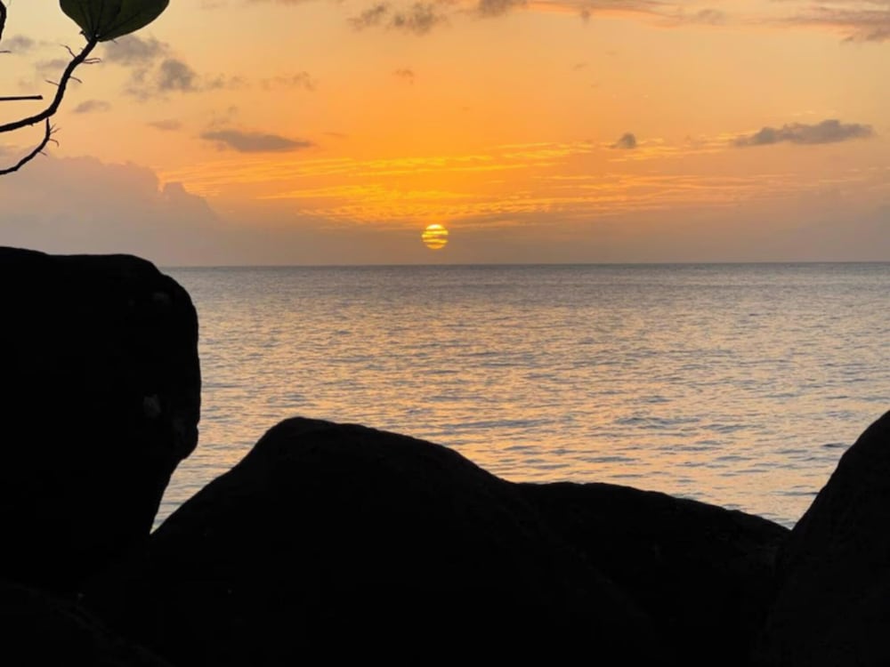 Rnm The Clubhouse Grenada 40/50