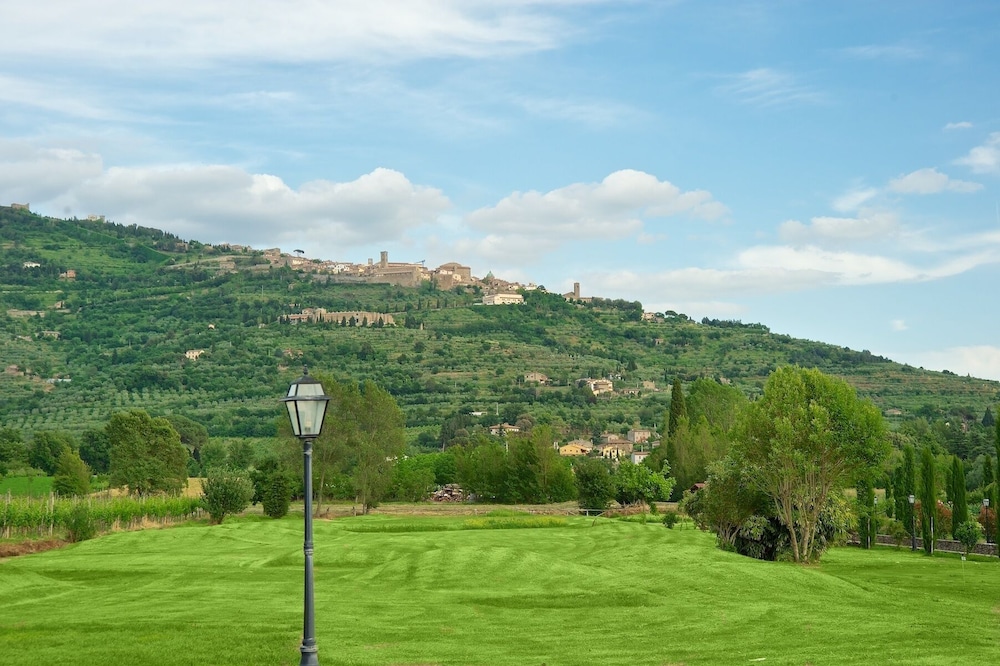 surroundings