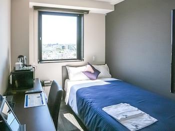 ROOM, SINGLE, PET FRIENDLY, SMOKING