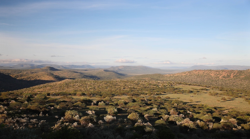 Olarro 28/50