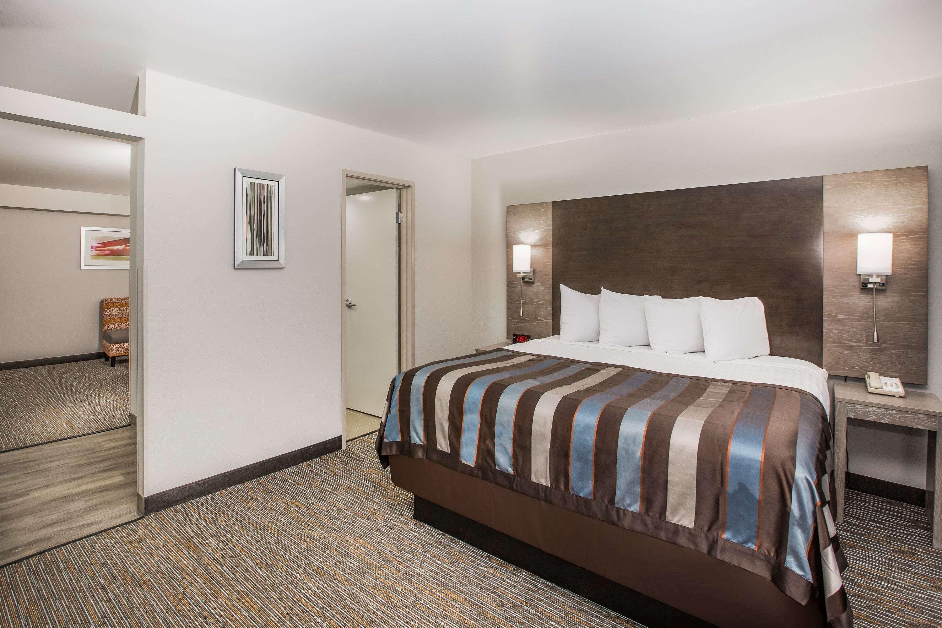 Suite, King Bed
