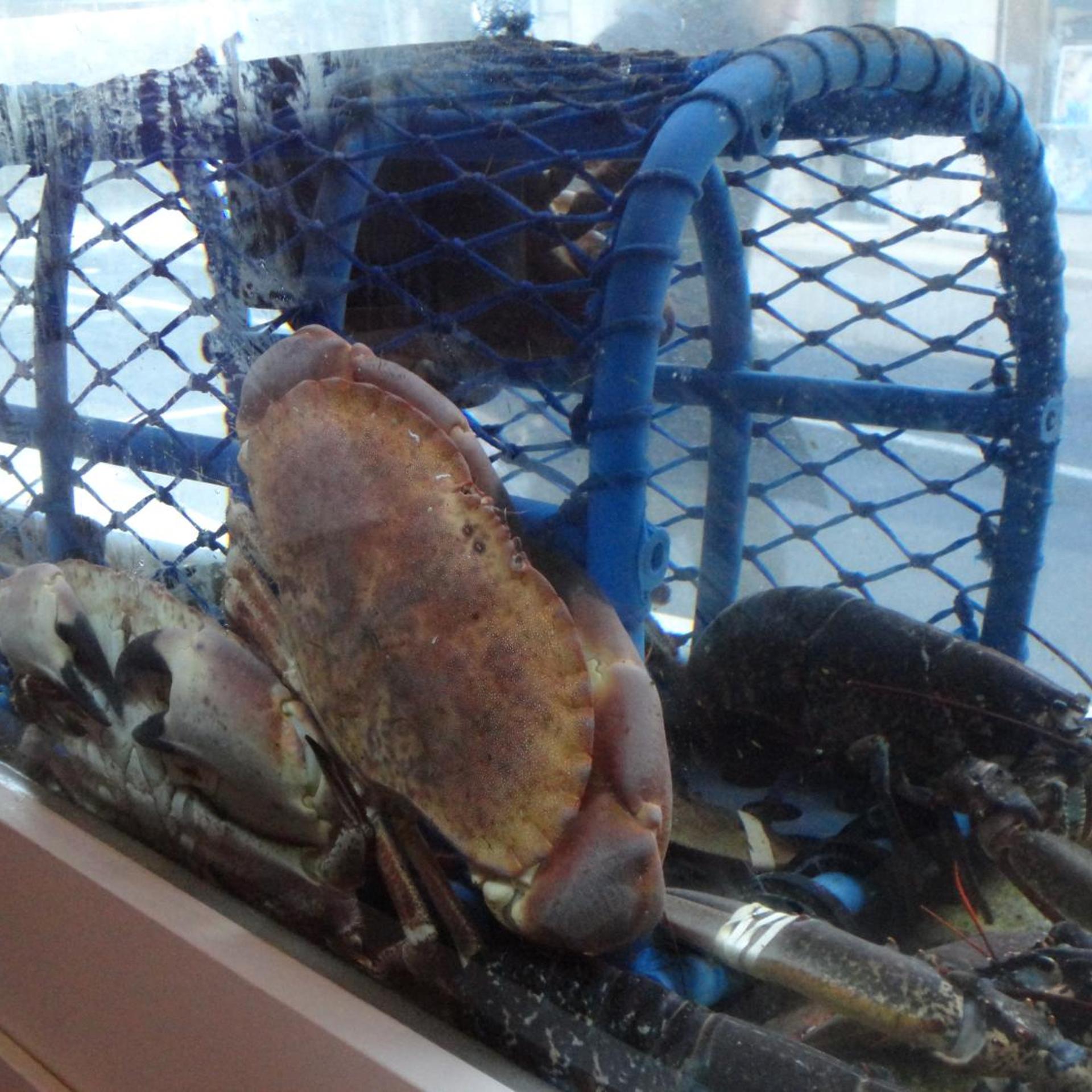 HOTEL LES CHARDONS BLEUS REST LE BISTROT DE LA MER 22/52
