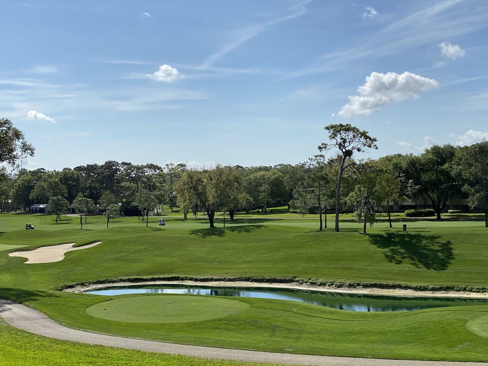 Innisbrook Resort 38/72