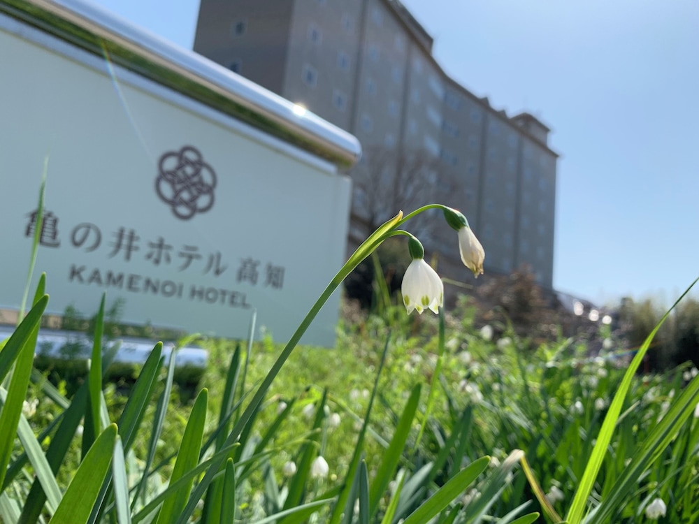 Kamenoi Hotel Kochi in INO - KOCHI PREFECTURE