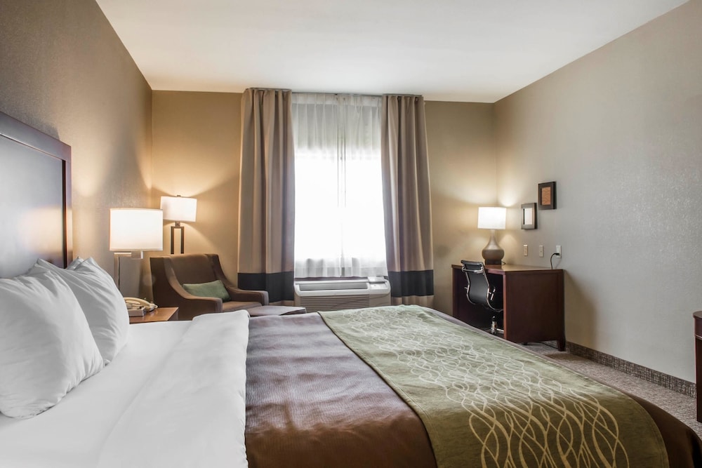 Comfort Inn Edinburg South Texas 4/46