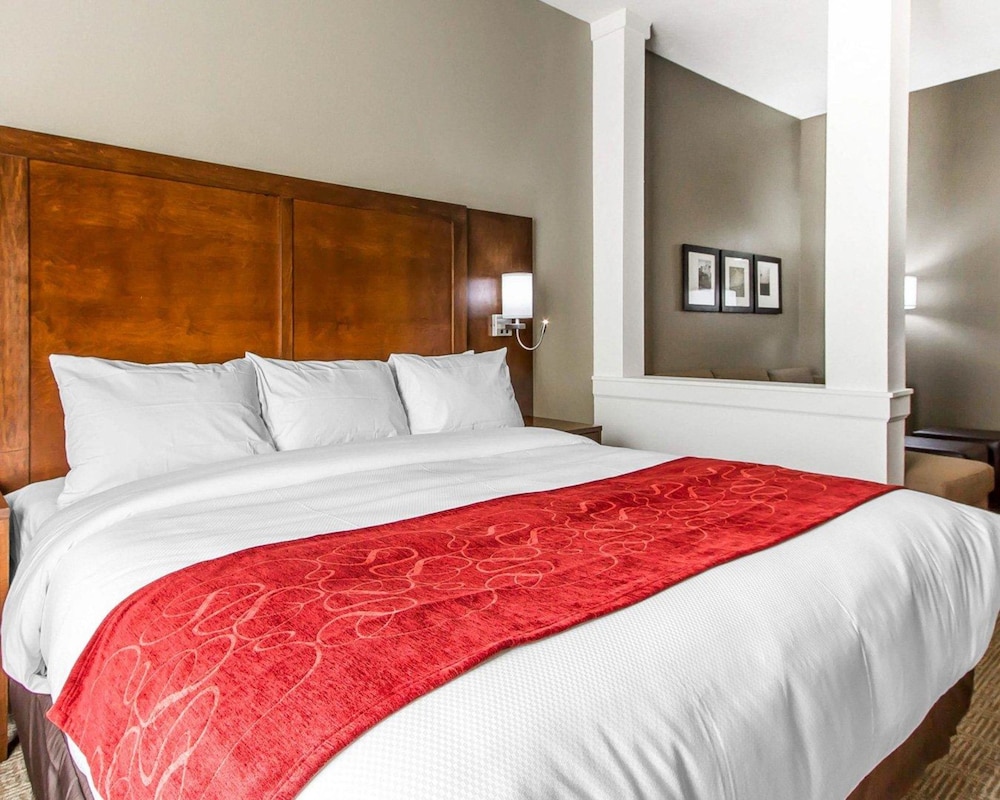 جناح بسرير كينج مع أريكة لذوي الإعاقة، Comfort Suites West Omaha, NE 6/10