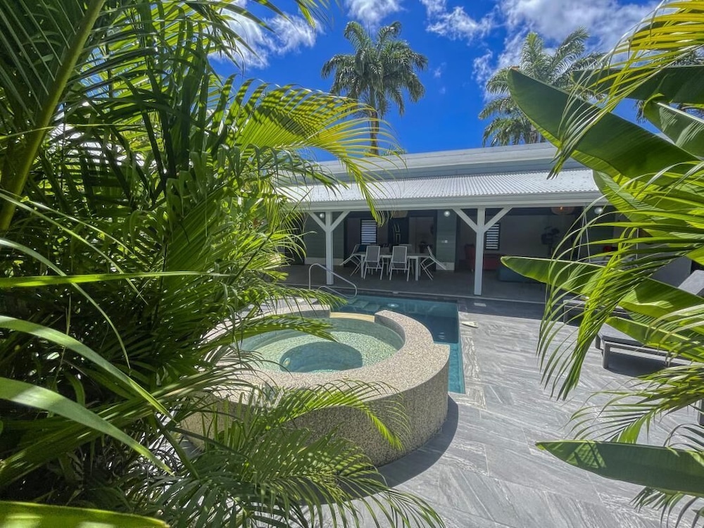 Majesty Palm 43/46