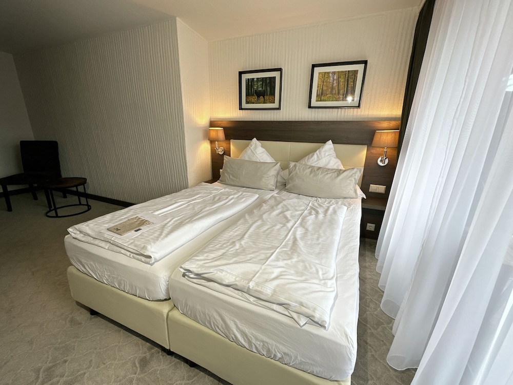 Parkhotel Luise 14/47