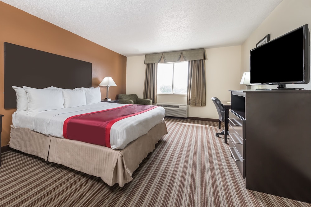Suite, King Bed