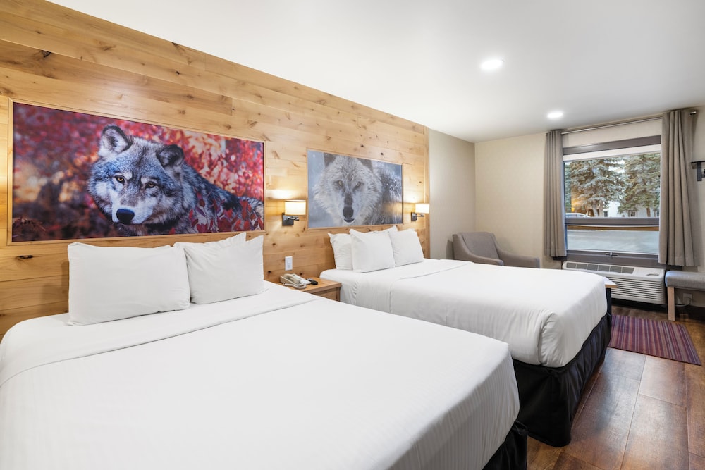 Junior Suite, 2 Queen Beds