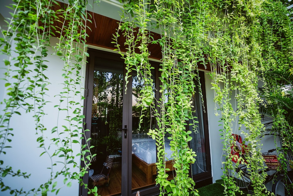 Homestay Tue Tam 43/50